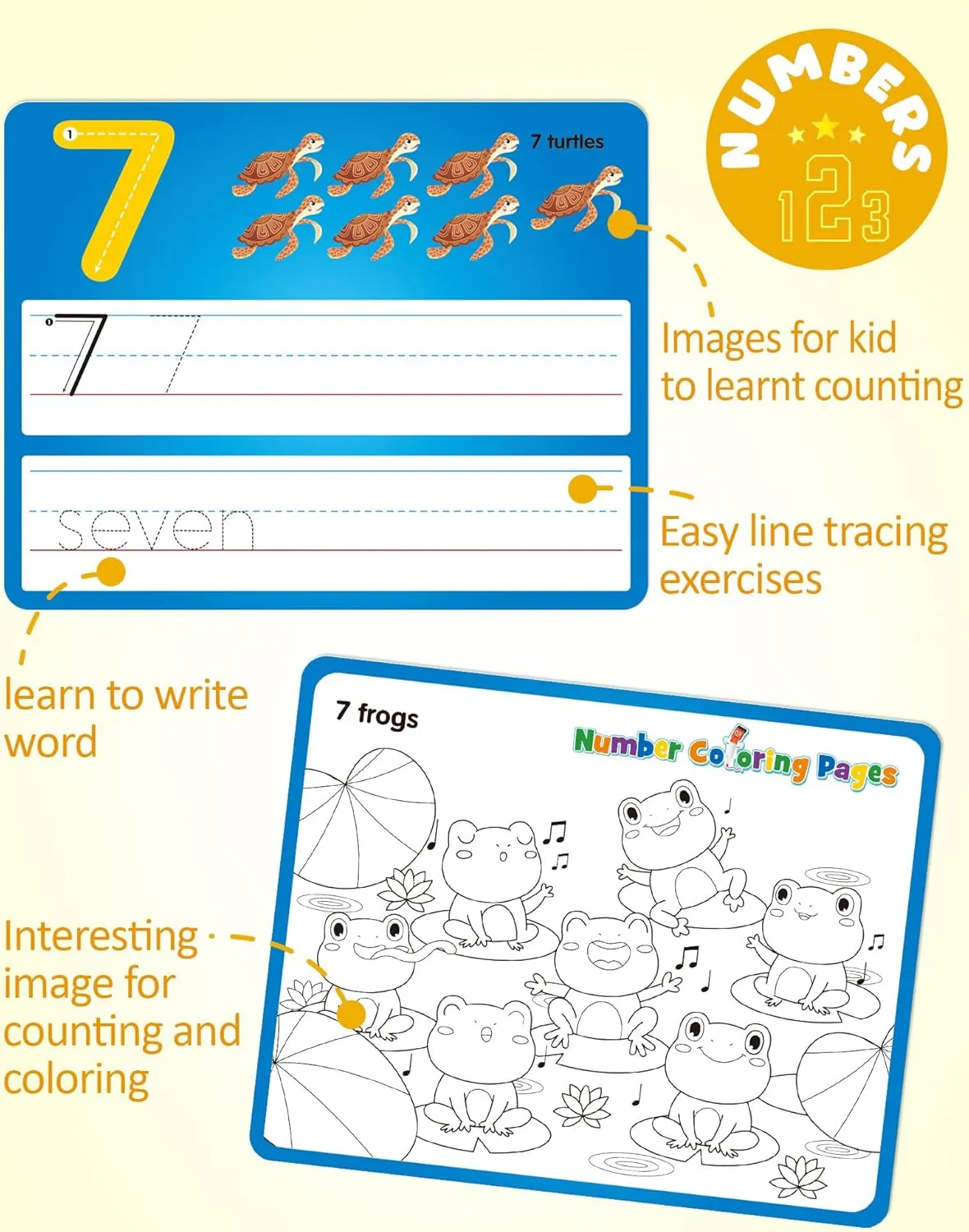 Double Sided Write and Wipe Tracing Flashcards