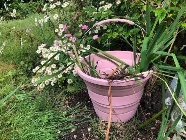 Scrunch Super Scrunch Bucket